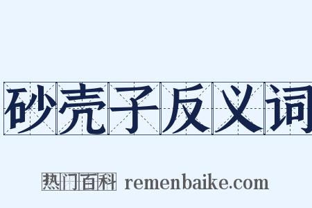 砂壳子反义词是什么意思的图片